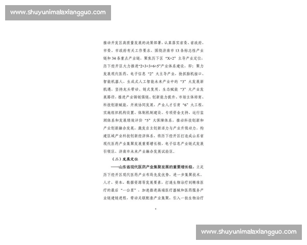 2025 上半年收官:政策赋能下的经济攻坚与下半年战略布局 2025 上半年收官:政策赋能下的经济攻坚与下半年战略布局