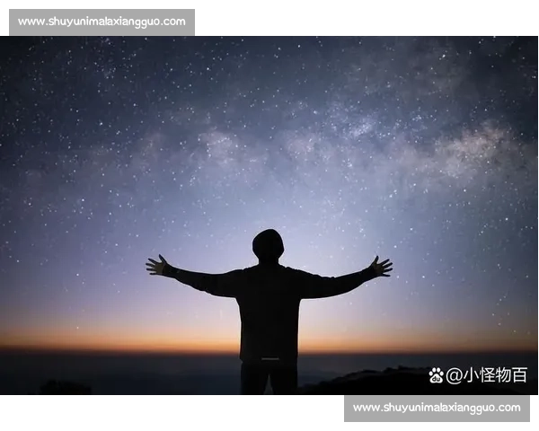巅峰之下,专注自成光芒 —— 大满贯冠军的自我修行法则 巅峰之下,专注自成光芒 —— 大满贯冠军的自我修行法则