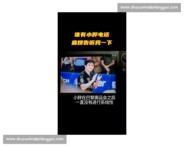 樊振东德甲双杀定乾坤 反手封神助球队首胜 樊振东德甲双杀定乾坤 反手封神助球队首胜