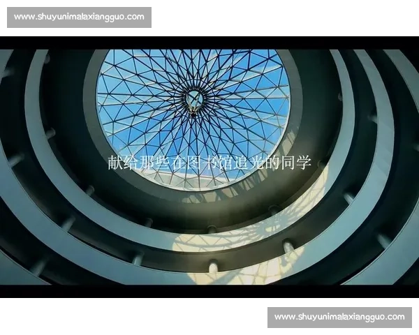 十年追光：从图书馆偶遇的丑小鸭到他掌心的星辰