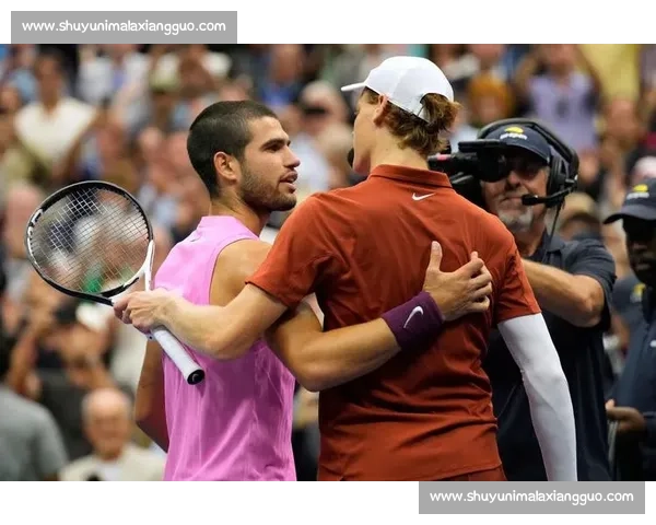 辛卡决垄断七冠：网坛双雄时代正式启幕