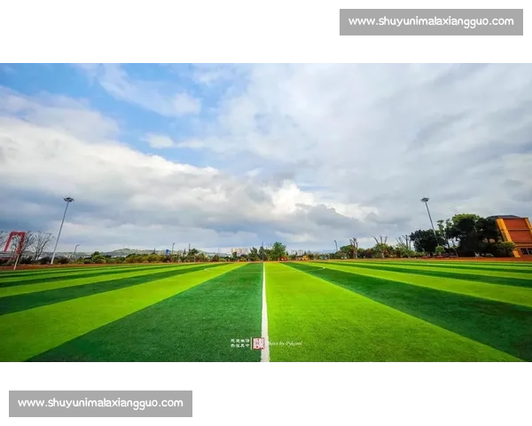 草原少年逐梦绿茵场：软式棒垒球总决赛鄂尔多斯燃情启幕